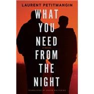What You Need from the Night A Novel