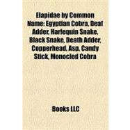 Elapidae by Common Name : Egyptian Cobra, Deaf Adder, Harlequin Snake, Black Snake, Death Adder, Copperhead, Asp, Candy Stick, Monocled Cobra