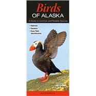 Birds of Alaska