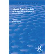 Network Developments in Economic Spatial Systems: New Perspectives
