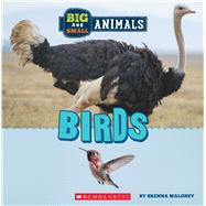 Birds (Wild World: Big and Small Animals)