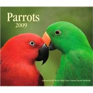 Parrots 2009 Calendar