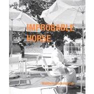 Improbable Horse