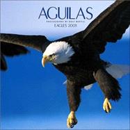 Aguilas/eagles 2005 Calendar