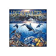 Underwater Life 2002 Calendar: 17 Month