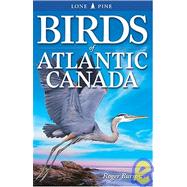 Birds of Atlantic Canada
