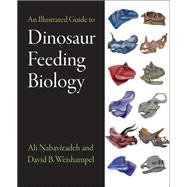 An Illustrated Guide to Dinosaur Feeding Biology