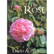 Rose : Climbing, English, Shrub, Hybrid Teas and Old Roses