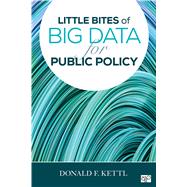 Little Bites of Big Data for Public Policy