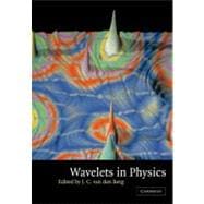 Wavelets in Physics