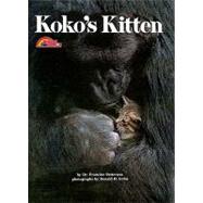 Koko's Kitten