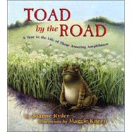 Toad by the Road : A Year in the Life of These Amazing Amphibians