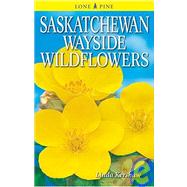 Saskatchewan Wayside Wildflowers