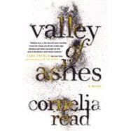 Valley of Ashes