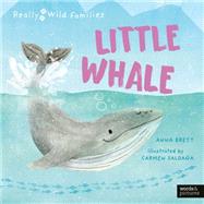 Little Whale A Day in the Life of a Whale Calf
