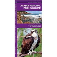 Acadia National Park Wildlife A Folding Pocket Guide to Familiar Animals