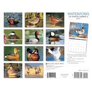 Waterfowl 2007 Calendar