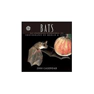 Bats 2000 Calendar