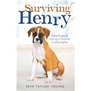 Surviving Henry