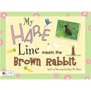 My Hare Line Meets the Brown Rabbit