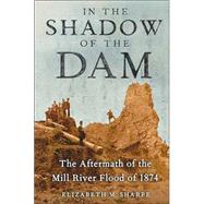 In the Shadow of the Dam : The Aftermath of the Mill River Flood of 1874
