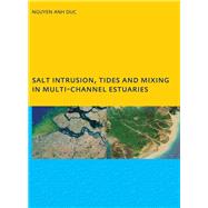 Salt Intrusion, Tides and Mixing in Multi-Channel Estuaries