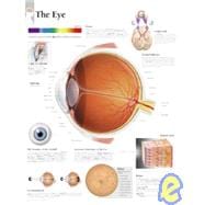 The Eye chart Wall Chart
