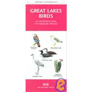 Great Lakes Birds