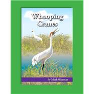 Whooping Cranes