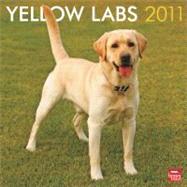 Yellow Labs 2011 Calendar