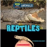 Reptiles (Wild World: Big and Small Animals)