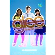 Glee: Summer Break An Original Novel