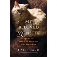 My Beloved Monster Masha, the Half-wild Rescue Cat Who Rescued Me