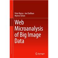 Web Microanalysis of Big Image Data