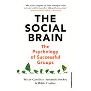 The Social Brain The Psychology of Successful Groups