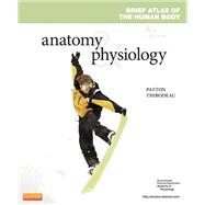 Brief Atlas of the Human Body and Quick Guide to the Language of Science and Medicine for Anatomy & Physiology