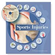 Anatomical Visual Guide to Sports Injuries