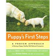 Puppy's First Steps