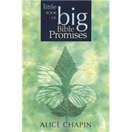 The Little Book of Big Bible Promises