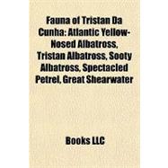 Fauna of Tristan Da Cunh : Atlantic Yellow-Nosed Albatross, Tristan Albatross, Sooty Albatross, Spectacled Petrel, Great Shearwater
