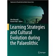 Learning Strategies and Cultural Evolution During the Palaeolithic