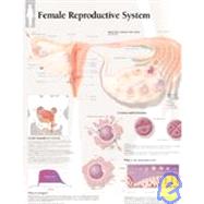 Female Reproductive System chart Wall Chart