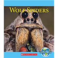 Wolf Spiders