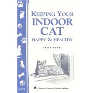 Keeping Your Indoor Cat Happy & Healthy