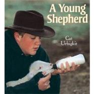 A Young Shepherd