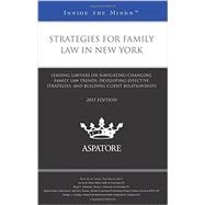 Strategies for Family Law in New York 2015