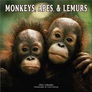 Monkeys, Apes & Lemurs 2005 Calendar
