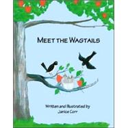 Meet the Wagtails