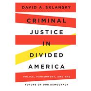 Criminal Justice in Divided America
