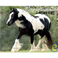 Gypsy Vanner Horse 2007 Calendar: Premier Edition